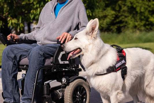 Maintenance Tips for Long-Lasting Mobility Equipment